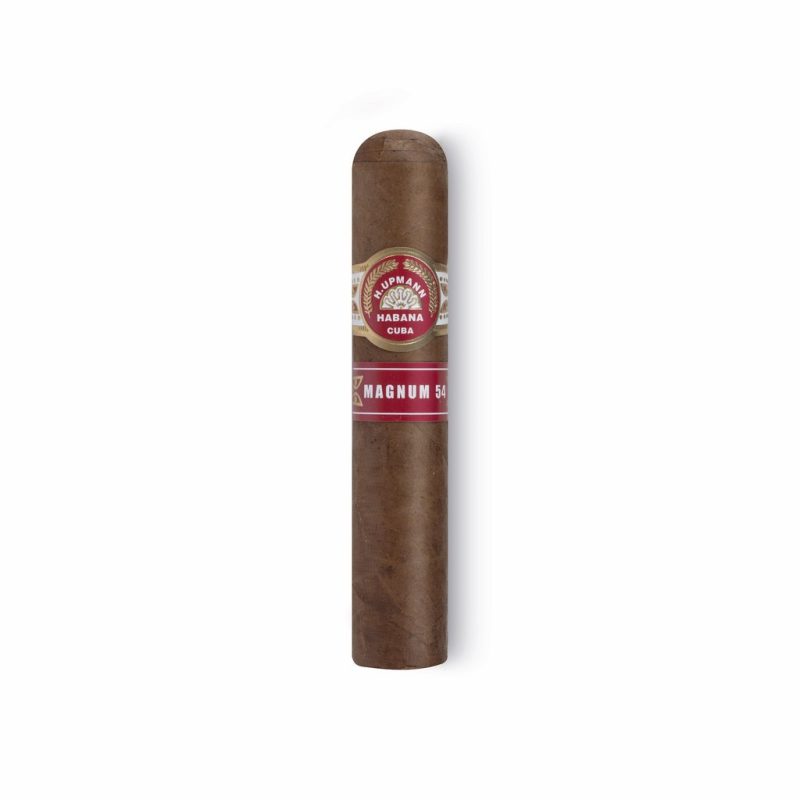 H. UPMANN MAGNUM 54 - Box of 25 - Image 2