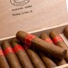 PARTAGAS SERIE D NO. 5 CIGAR - Image 2