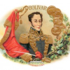 BOLIVAR PETIT CORONAS - Image 2
