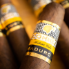 COHIBA MADURO 5 MAGICOS - Image 4