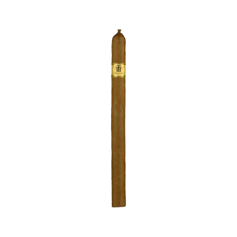 Trinidad Fundadores Cigar - Image 2